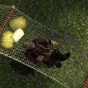 Mondbarden finden Schönes in LotRo