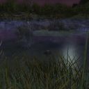 Mondbarden finden Schönes in LotRo