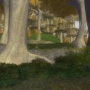 Mondbarden finden Schönes in LotRo