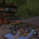 Mondbarden finden Schönes in LotRo