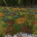 Mondbarden finden Schönes in LotRo