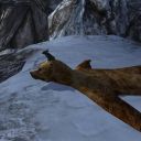 Mondbarden finden Kurioses in LotRo