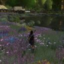 Mondbarden finden Schönes in LotRo