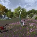 Mondbarden finden Kurioses in LotRo