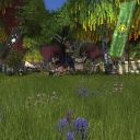 Mondbarden finden Schönes in LotRo